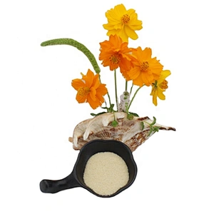 2024 New Product Food Grade Beef Gelatin Food Additive Gelatin Powder
