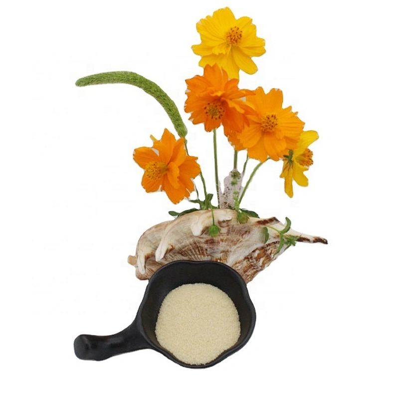 2024 New Product Food Grade Beef Gelatin Food Additive Gelatin Powder