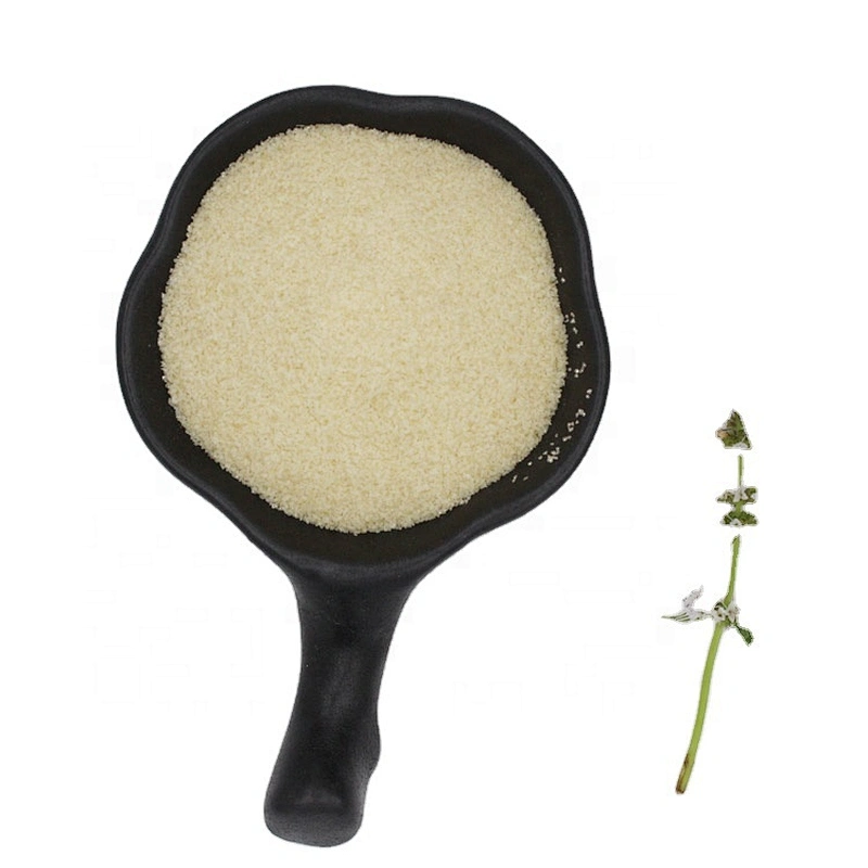 2024 New Product Food Grade Beef Gelatin Food Additive Gelatin Powder